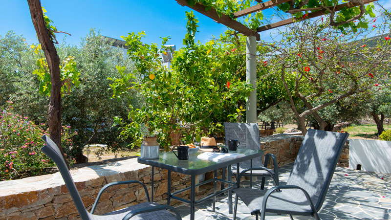 Accommodation in Sifnos, at Aegean Harmony